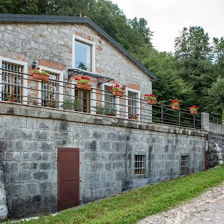 Anton - The Old Dairy *